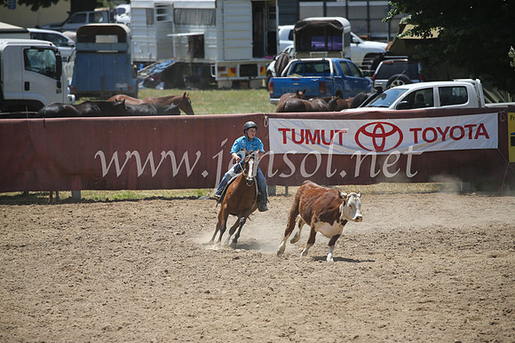 TumutCampdraft2016_6431