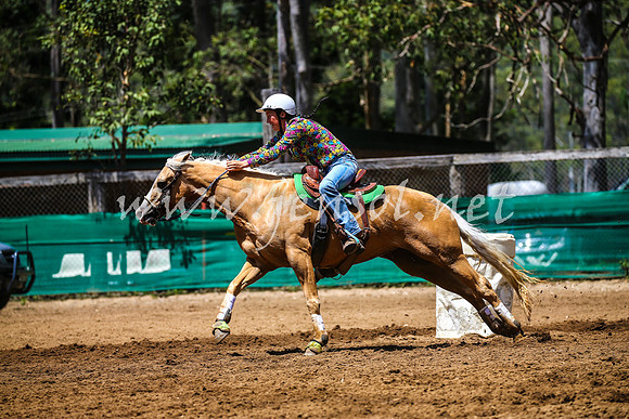 CooranbongABHAOct_3632