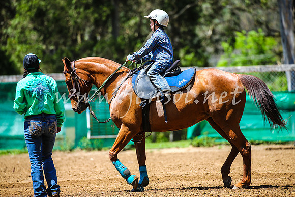CooranbongABHAOct_2615