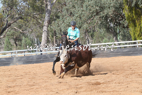 TubbulCampdraft2014_1249
