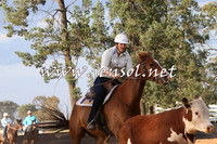 TubbulCampdraft2014_1016