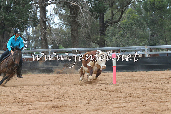 TubbulCampdraft2014_1226