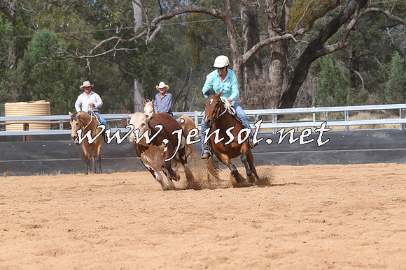 TubbulCampdraft2014_1375