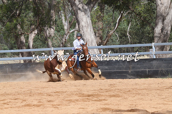 TubbulCampdraft2014_1296