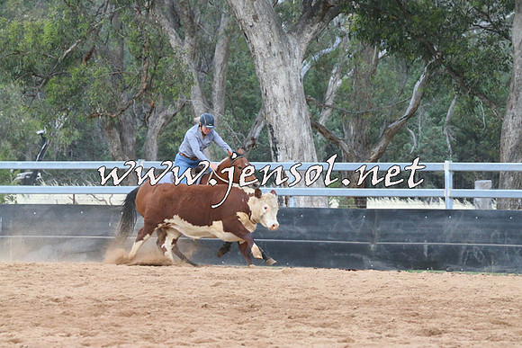 TubbulCampdraft2014_1161