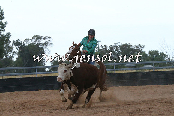 TubbulCampdraft2014_1116