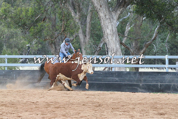 TubbulCampdraft2014_1160