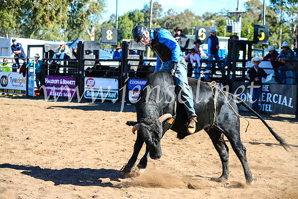 CoonambleRodeoCampdraftMon_7828