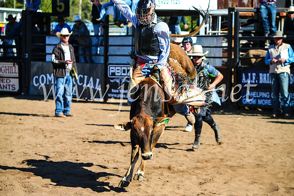 CoonambleRodeoCampdraftMon_7312