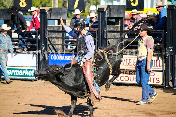 CoonambleRodeoCampdraftMon_6358