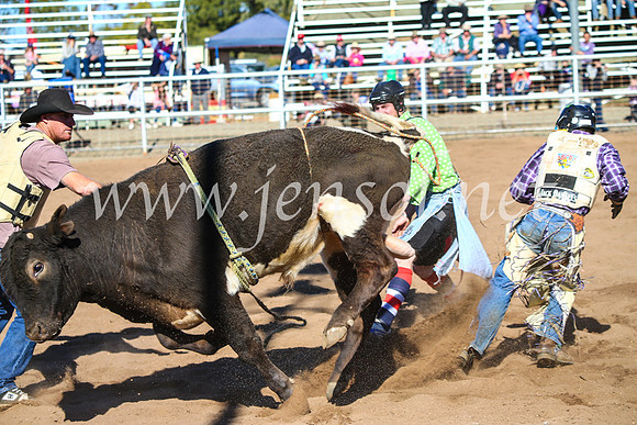 CoonambleRodeoCampdraftMon_7224