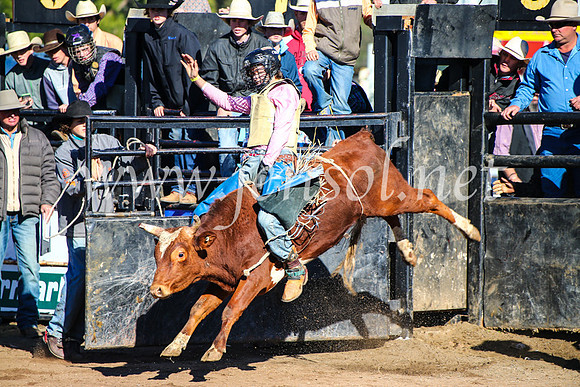 CoonambleRodeoCampdraftMon_6286