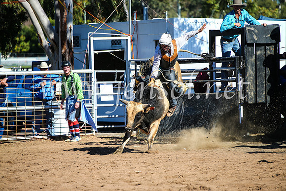 CoonambleRodeoCampdraftMon_7500