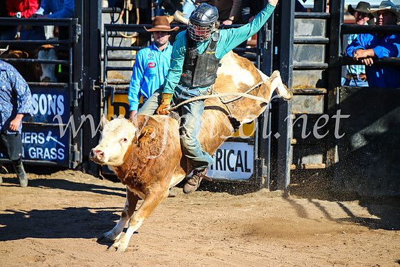 CoonambleRodeoCampdraftMon_6489