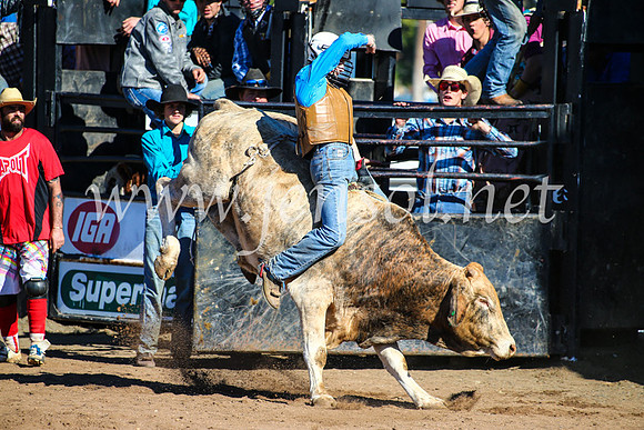 CoonambleRodeoCampdraftMon_6984