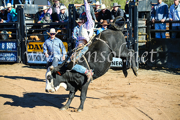 CoonambleRodeoCampdraftMon_6427