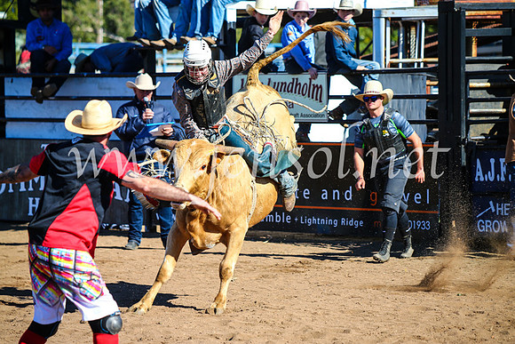 CoonambleRodeoCampdraftMon_6943