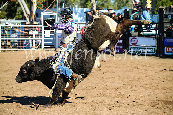CoonambleRodeoCampdraftMon_7182