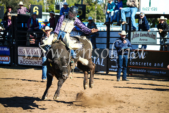 CoonambleRodeoCampdraftMon_7173