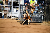 CoonambleRodeoCampdraftMon_6337