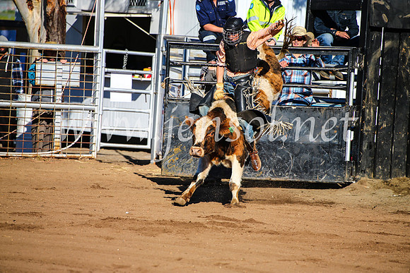 CoonambleRodeoCampdraftMon_6337