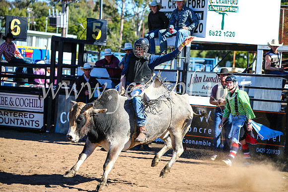 CoonambleRodeoCampdraftMon_7759