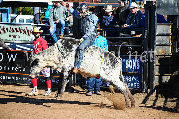 CoonambleRodeoCampdraftMon_6364