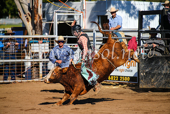 CoonambleRodeoCampdraftMon_6542