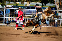 CoonambleRodeoCampdraftMon_6335