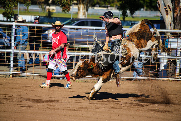 CoonambleRodeoCampdraftMon_6335