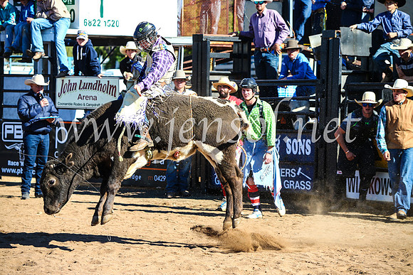 CoonambleRodeoCampdraftMon_7159