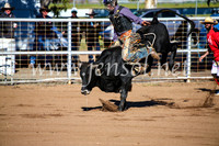 CoonambleRodeoCampdraftMon_6330