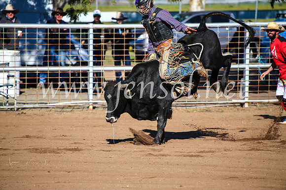 CoonambleRodeoCampdraftMon_6330