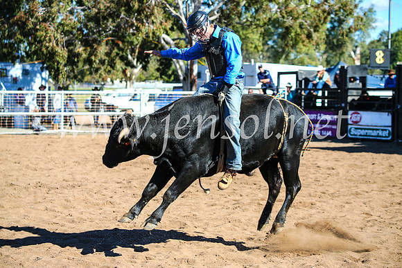 CoonambleRodeoCampdraftMon_7837