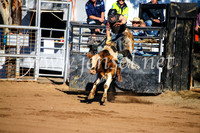 CoonambleRodeoCampdraftMon_6336