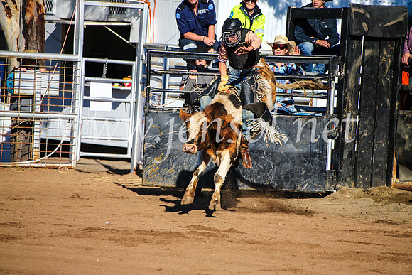 CoonambleRodeoCampdraftMon_6336