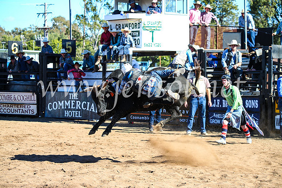 CoonambleRodeoCampdraftMon_7456