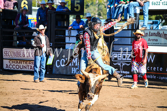 CoonambleRodeoCampdraftMon_7127