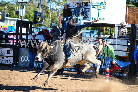 CoonambleRodeoCampdraftMon_7751