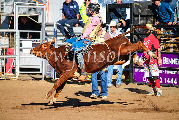 CoonambleRodeoCampdraftMon_6294
