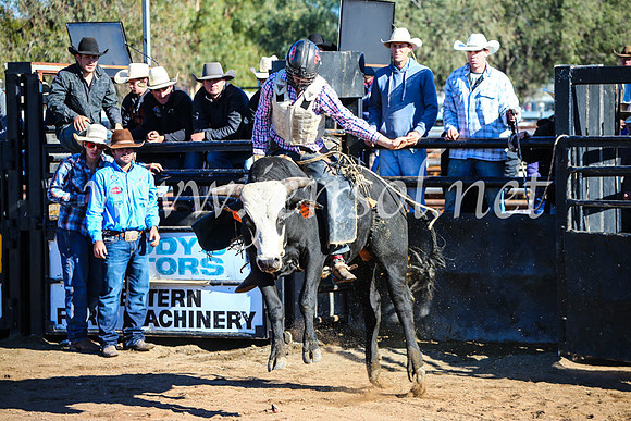 CoonambleRodeoCampdraftMon_6420