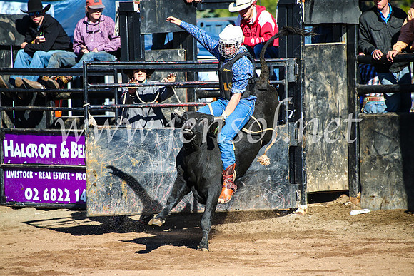 CoonambleRodeoCampdraftMon_6471