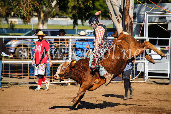 CoonambleRodeoCampdraftMon_6536
