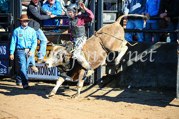 CoonambleRodeoCampdraftMon_6383