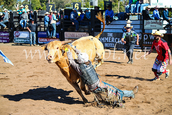 CoonambleRodeoCampdraftMon_6955