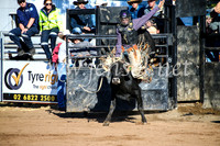 CoonambleRodeoCampdraftMon_6314