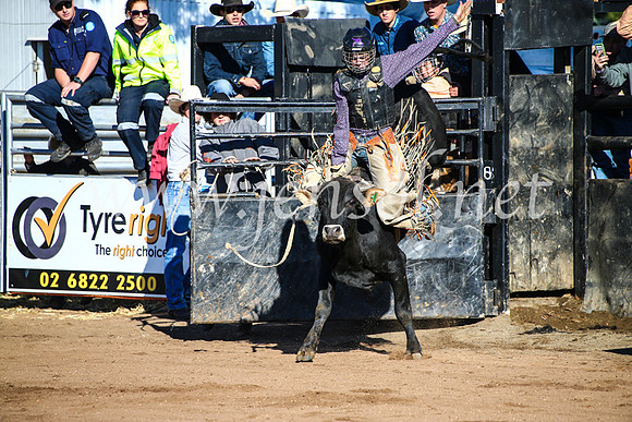 CoonambleRodeoCampdraftMon_6314