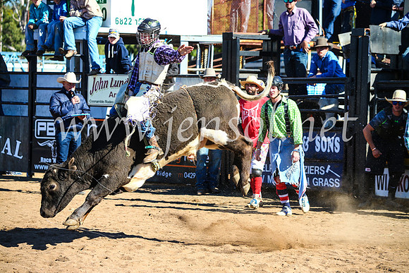 CoonambleRodeoCampdraftMon_7161