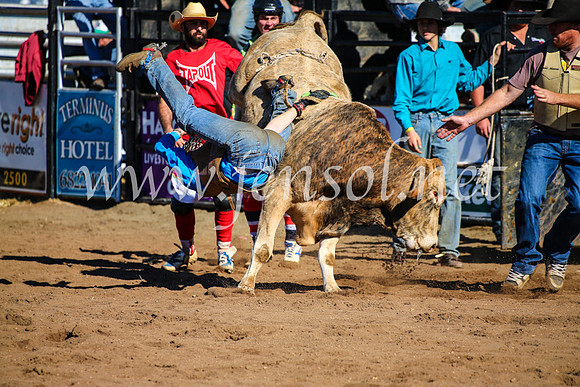 CoonambleRodeoCampdraftMon_7034