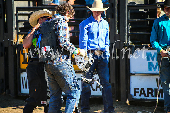 CoonambleRodeoCampdraftMon_7463